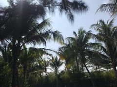 -白沙门生态公园