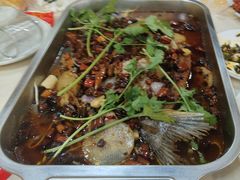 -德优正宗川菜馆
