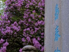 -北海公园
