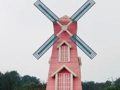 -铁山坪森林公园