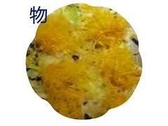 -乾园(天河城店)