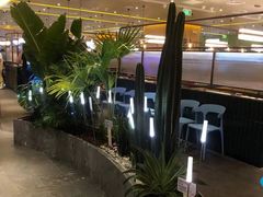 -润园四季椰子鸡火锅(南山海岸城店)