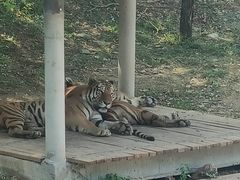 -石家庄市动物园