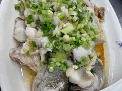 香葱淋鲈鱼-粤·向群饭店(龙津东路总店)