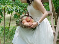 -桃源山庄·水蜜桃采摘·柴火鸡·烧烤团建(龙泉山店)