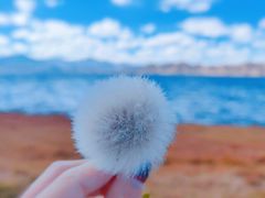-班公湖