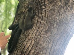 -西湖外事游船(花港观鱼码头)