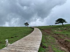 -芦芽山旅游度假区