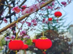-松赞丽江山居餐厅