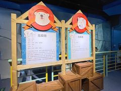 -海合安武汉极地海洋公园