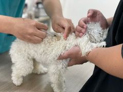 -荔康动物医院(康王北路店)