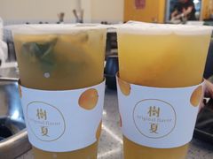 -树夏(建设路店)