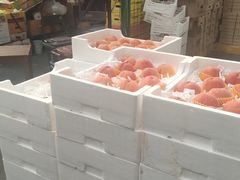 水蜜桃-上海龙吴水胜海发市场