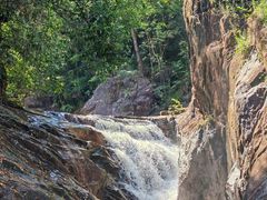 -广州白江湖森林公园