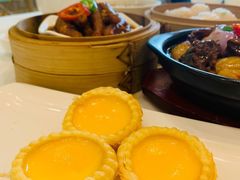 高杯蛋挞-御彩酒家(东风东路店)