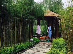 -灵山莲花公园-温泉度假区