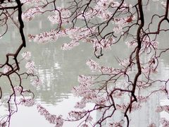 -红星桥(地铁站)