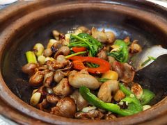 啫啫鱼肚-津津菜馆(绝没分店)