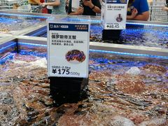 -盒马X会员店(上海森兰商都店)