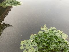 -沙市市中山公园