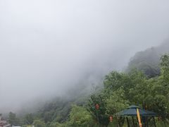 -秦岭风景区