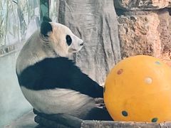 -石家庄极地海洋世界