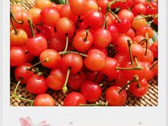 -樱桃山旅游景区