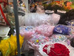 -大自然花鸟鱼虫市场