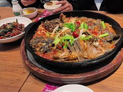 -老板恋上鱼(恒隆广场店)