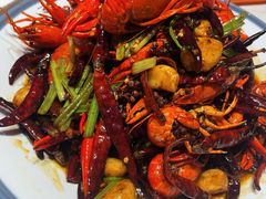 -杨氏青龙虾·羊蝎子(托乐嘉店)