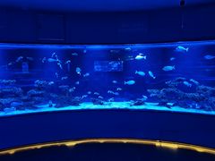 -上和臻品中国菜(花园街店)