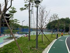 -王借岗森林公园