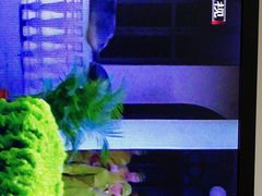 -北京网络广播电视台