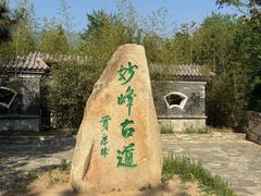 -阳台山自然风景区