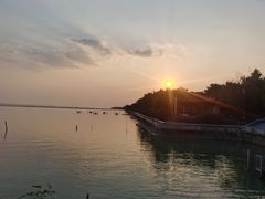 -贡湖湾湿地公园