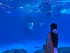 -海合安成都极地海洋公园