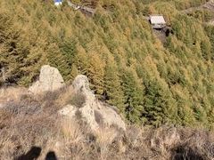 -苏木山森林公园