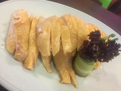 -Asianplus海蓝鸡饭