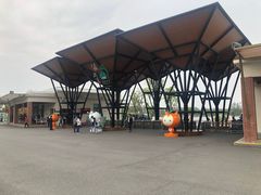 -上海长兴岛郊野公园