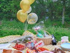 -桤木河湿地公园