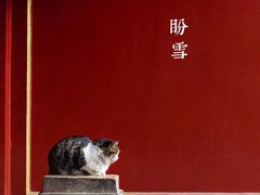-申氏糕点(三好街店)
