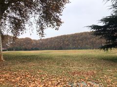 -河南省黄河迎宾馆