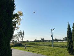 -汉长安城未央宫国家考古遗址公园