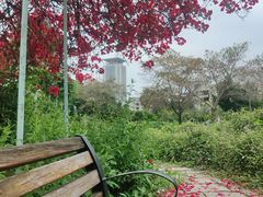 -华侨大学(厦门校区)
