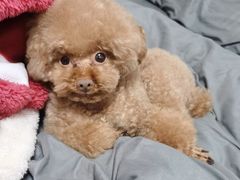 -沐沐家宠物(成寿寺店)