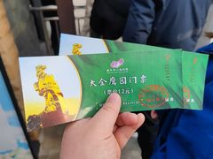 -大金鹰园