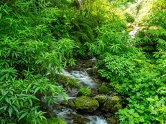 -清江方山景区