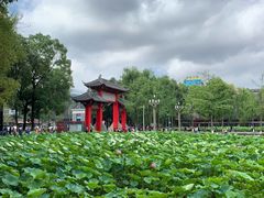 -四川大学(望江校区)