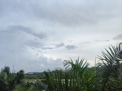 -番禺大夫山森林公园