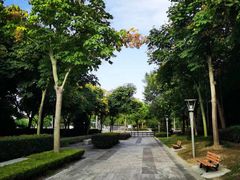 -南翔镇银翔湖公园